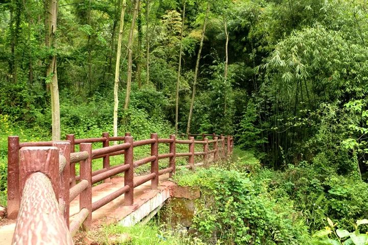大邑周边带孩子玩的宝藏地,大邑宝藏登山地