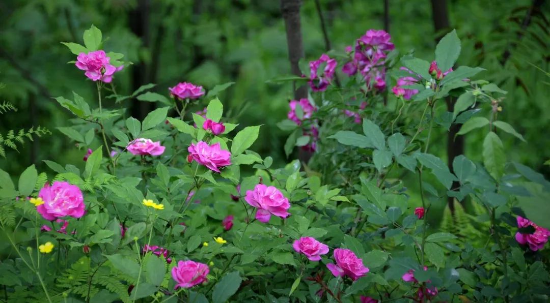 大邑周边带孩子玩的宝藏地,大邑宝藏登山地