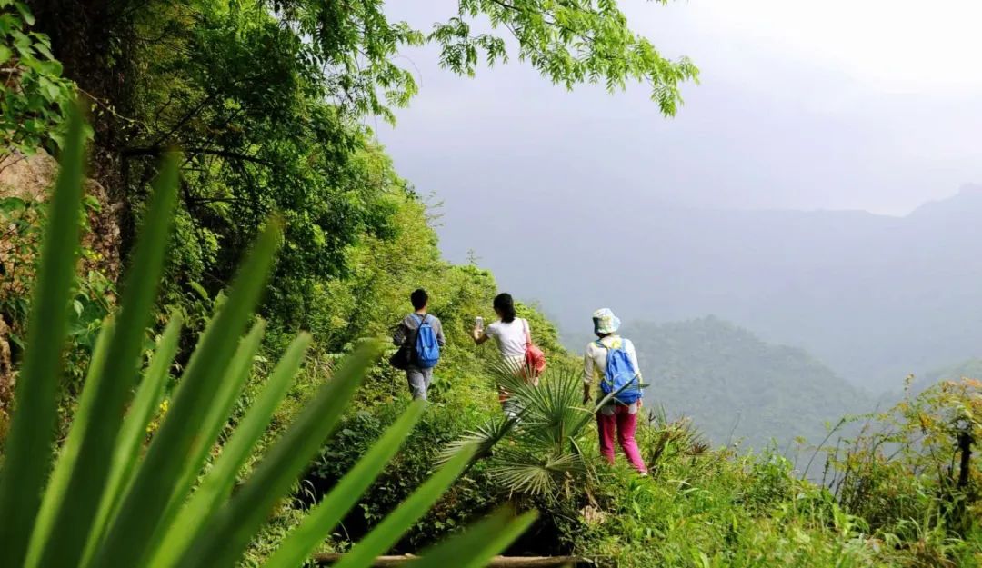 大邑周边带孩子玩的宝藏地,大邑宝藏登山地