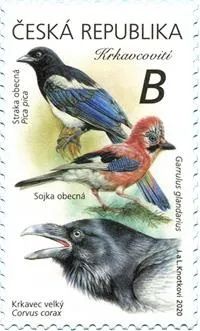 外邮速报邮票图片,中国邮票外邮速报