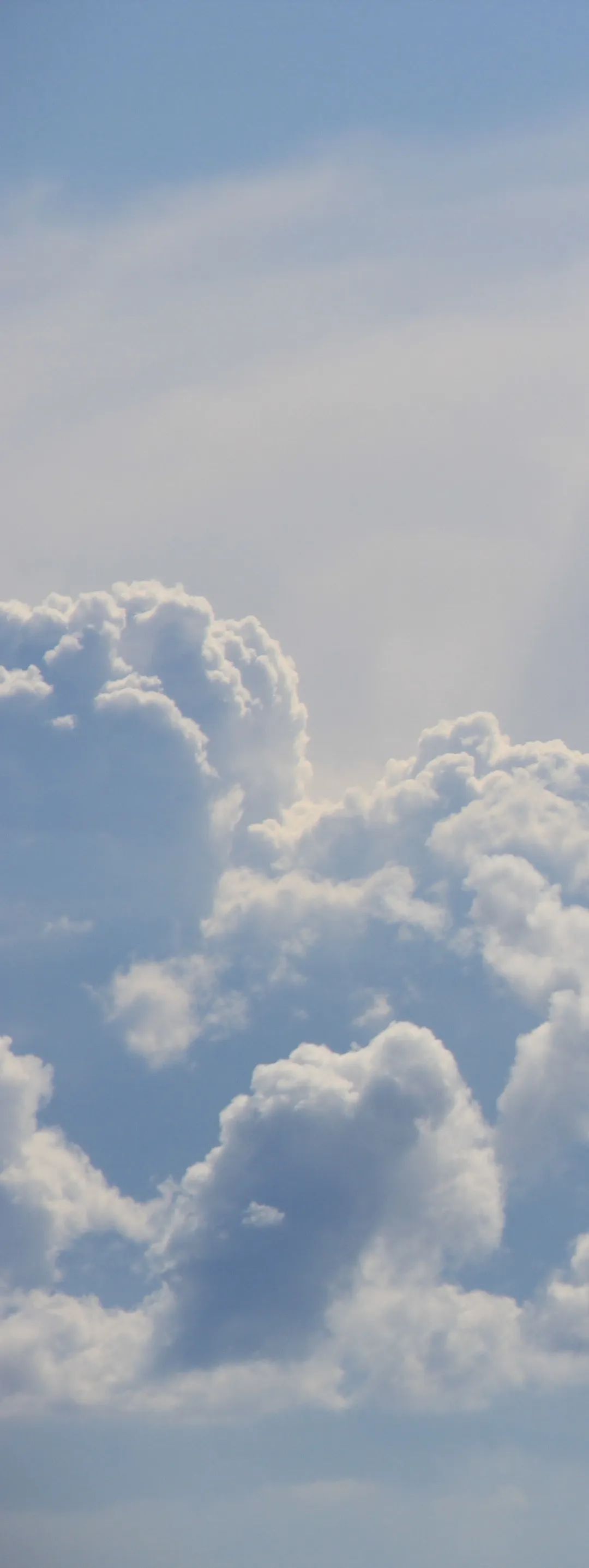 向阳而生活动宣传视频,向阳而生嘉年华出场顺序