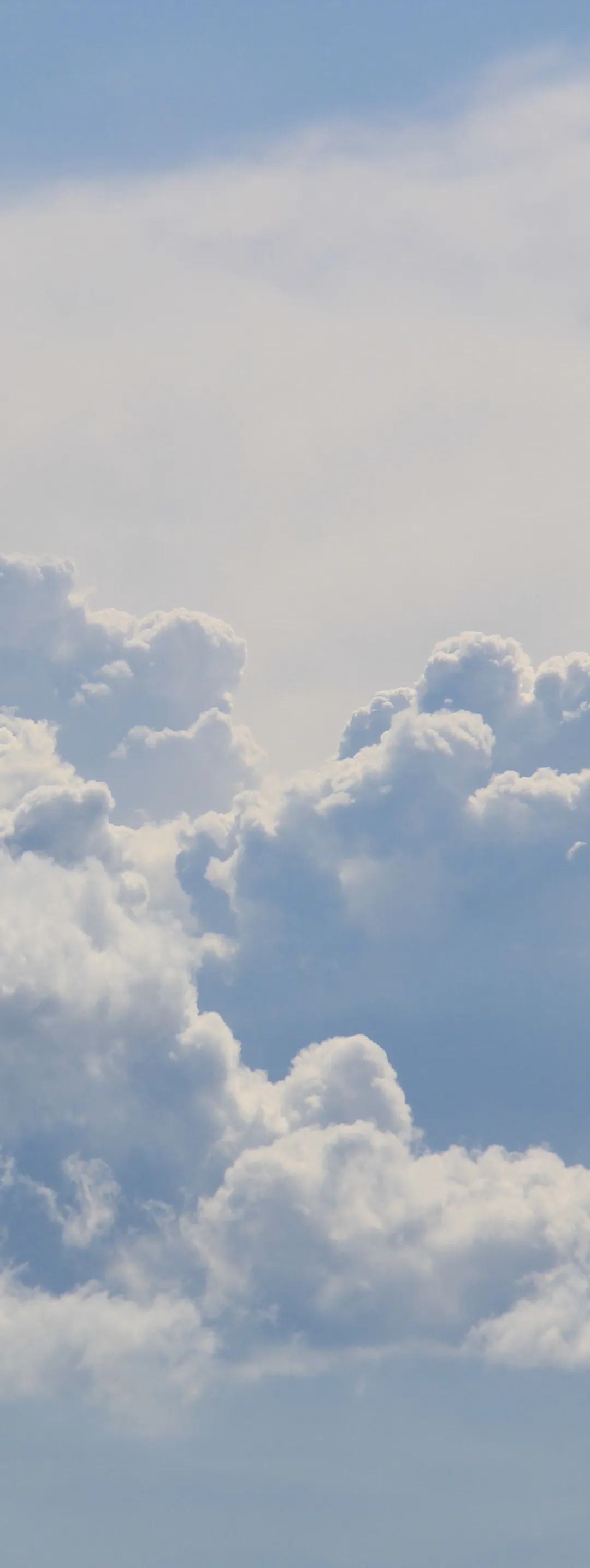 向阳而生活动宣传视频,向阳而生嘉年华出场顺序