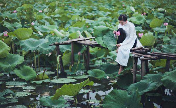 “姊妹明珠坐抱于杭”读懂西湖西溪的前世今生