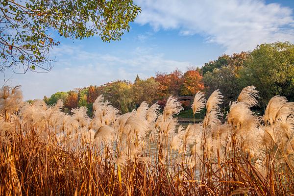 “姊妹明珠坐抱于杭”读懂西湖西溪的前世今生