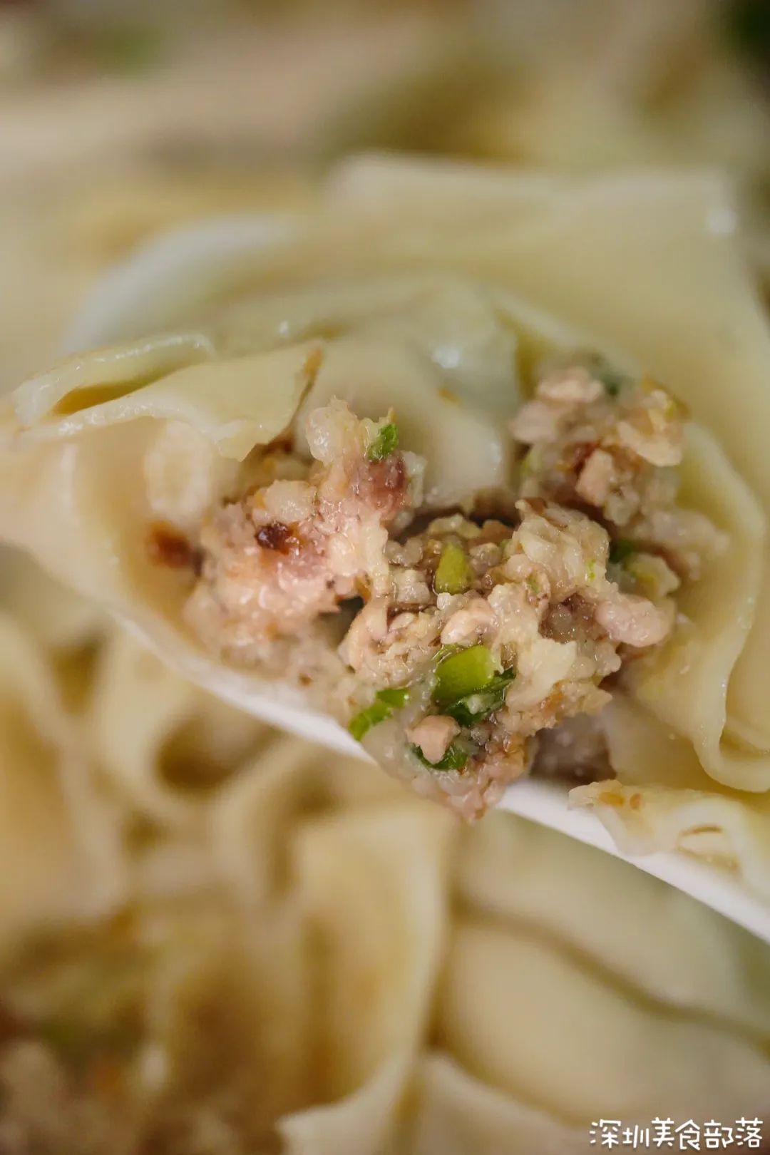 潮汕肉饼云吞 (潮汕肉饼云吞店)