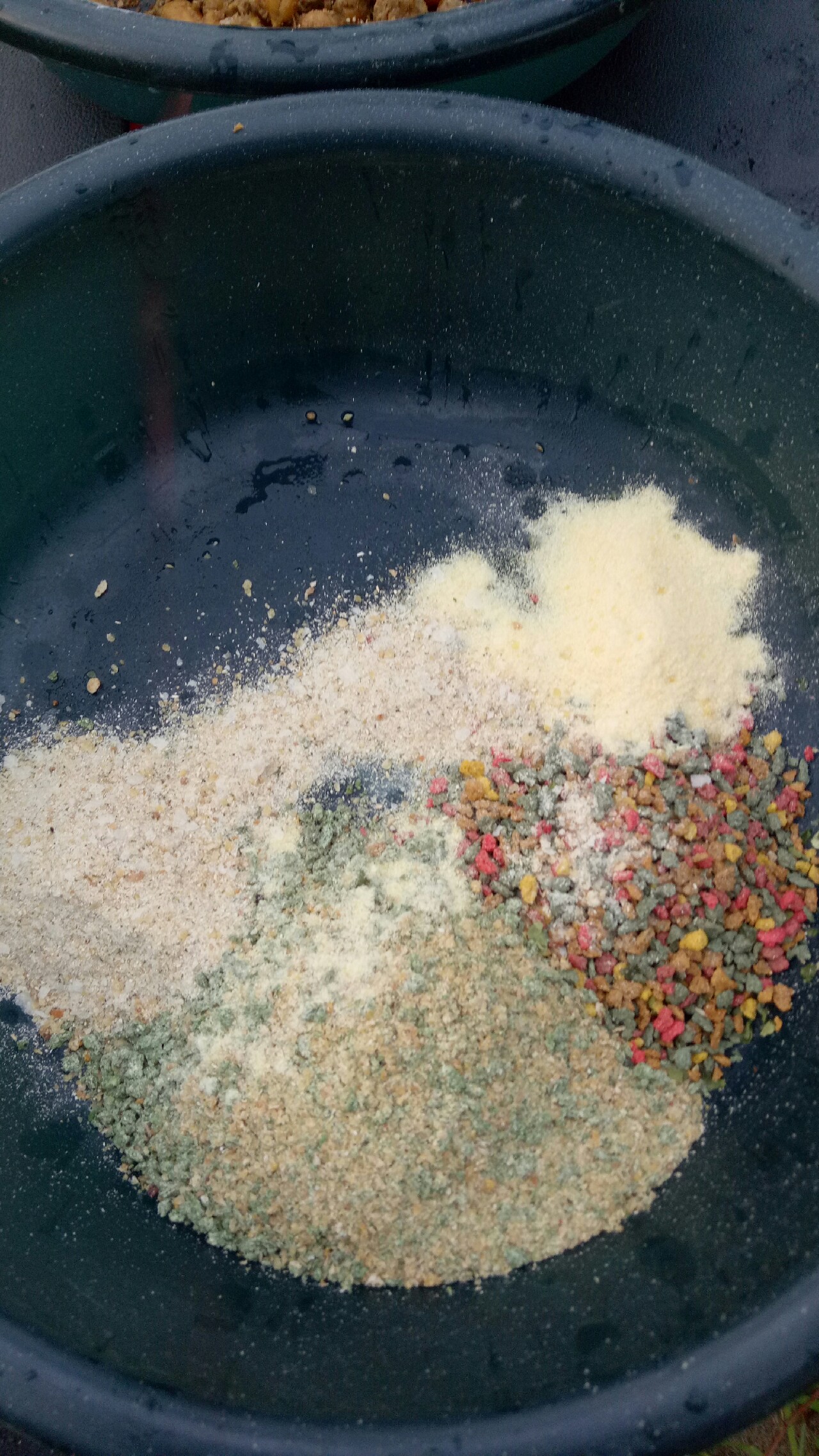 乌龙江野钓,乌龙江有什么鱼钓