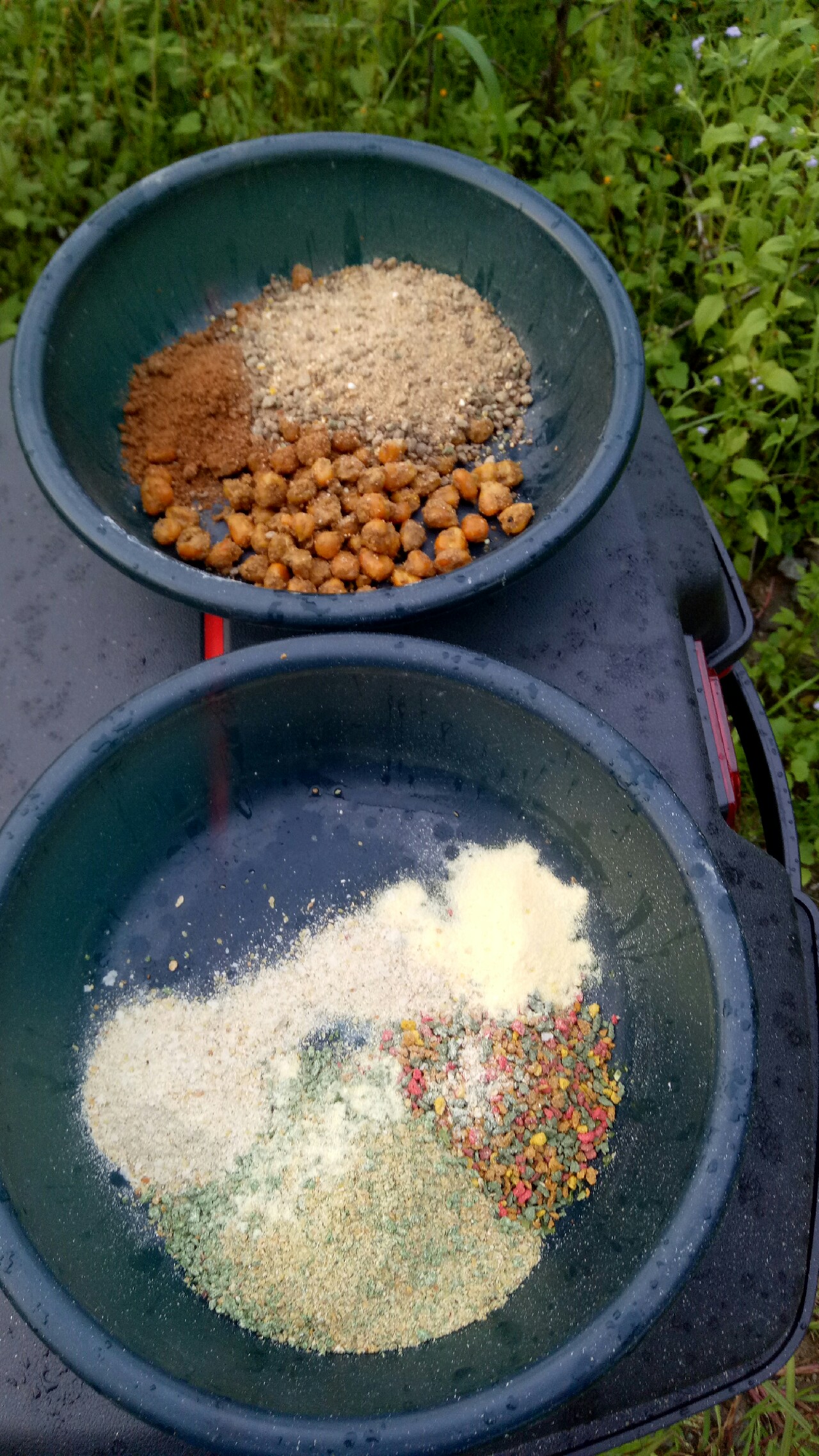 乌龙江野钓,乌龙江有什么鱼钓