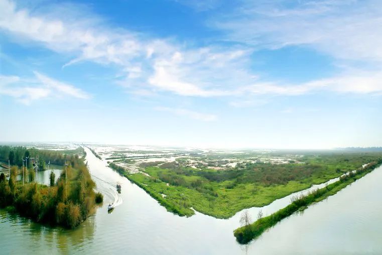 三问酒红标,苏酒头排酒技巧