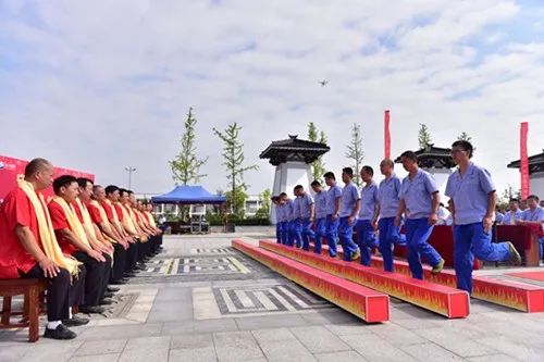 三问酒红标,苏酒头排酒技巧