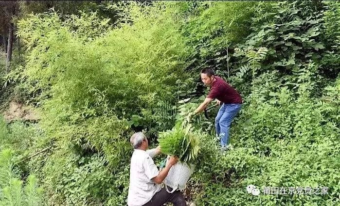 端午节吃起家乡味,端午节来一碗家乡的味道