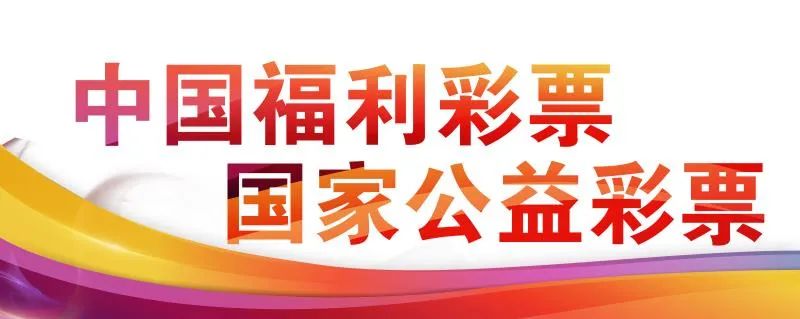 中国福彩公益资金,山东彩票公益金筹集