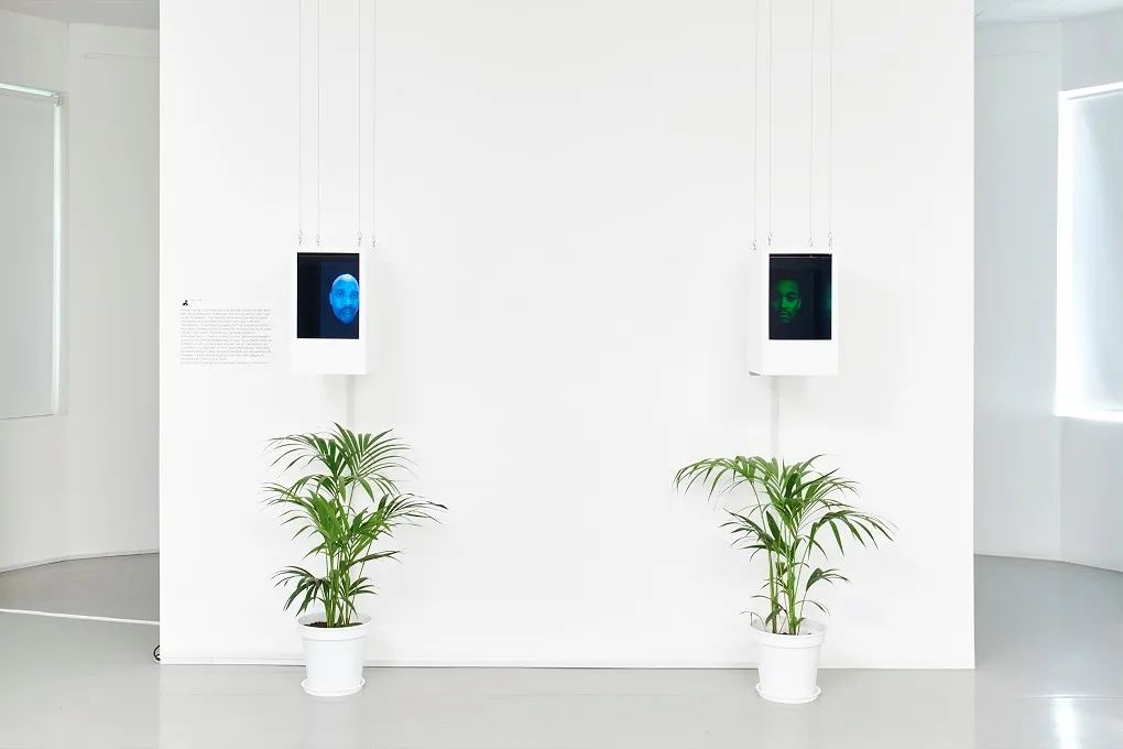 艺术家不需要真人?虚拟形象能够代替吗?