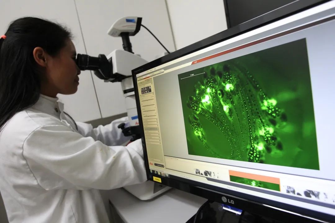 40款防晒霜权威测评：你的夏日防晒选对了吗？