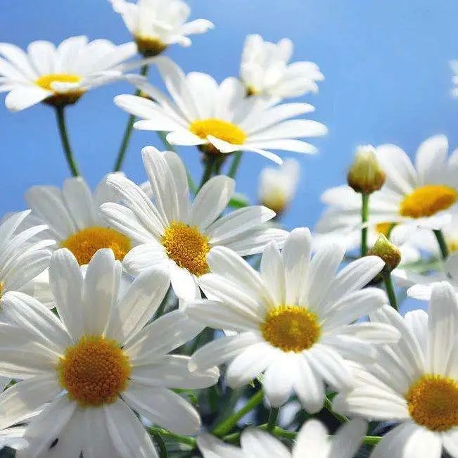 给这块“搓澡巾”一个机会，不用别人帮忙，也能爽到不行