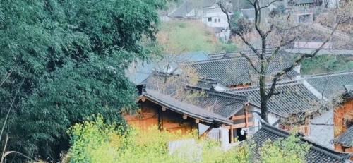 西安周边山间小院,西安周围秦岭高品质小院