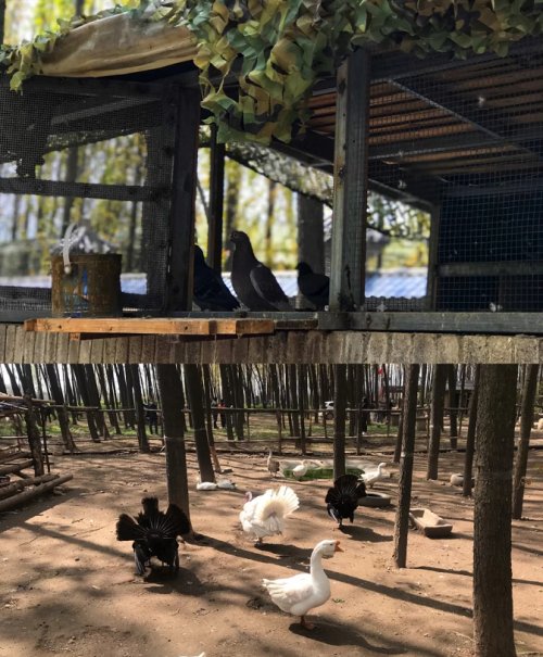 西安周边山间小院,西安周围秦岭高品质小院