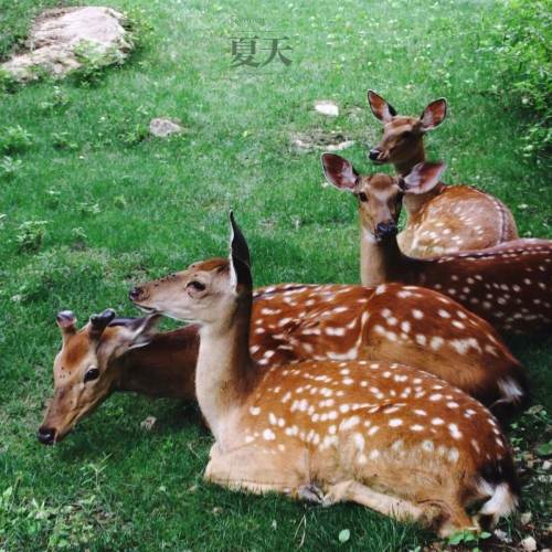 西安周边山间小院,西安周围秦岭高品质小院