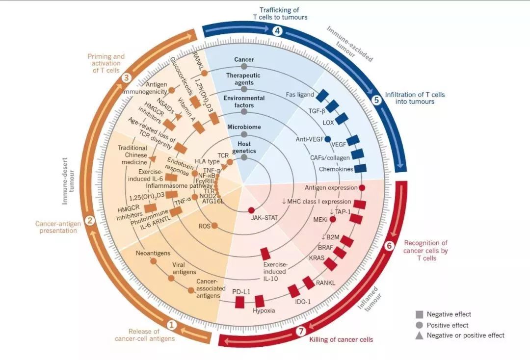 癌症的免疫治疗文献综述论文,综述癌症的免疫细胞疗法