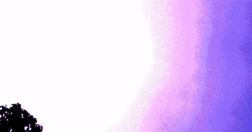 沈阳人！明天这个时候！你最好在家