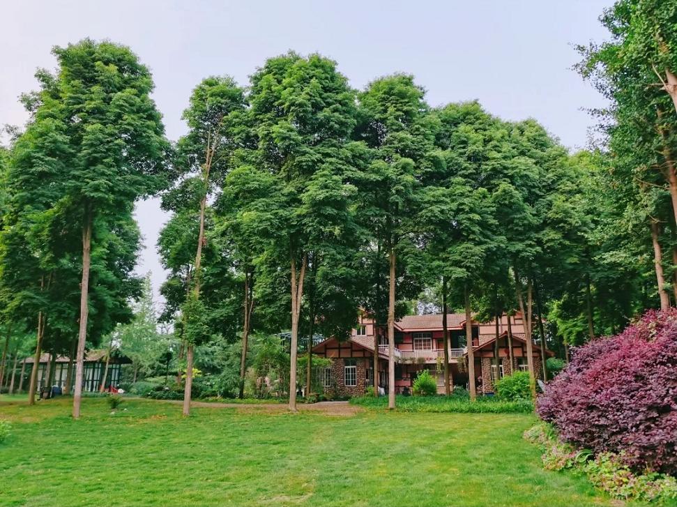 夏日避暑胜地高铁直达,坐动车可直达哪些地方避暑