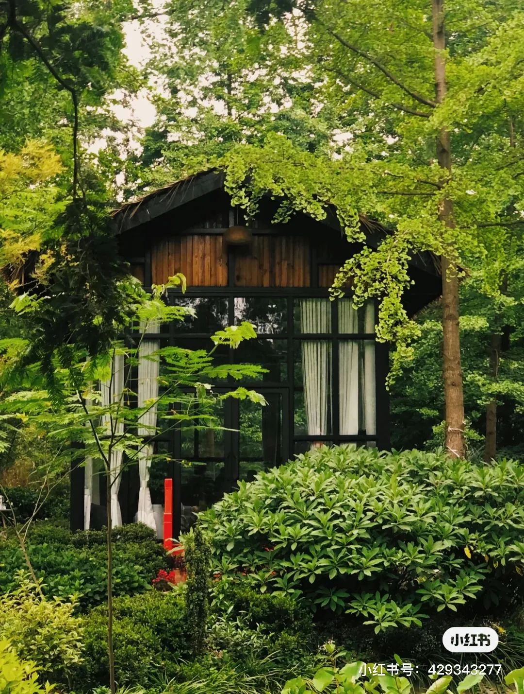 夏日避暑胜地高铁直达,坐动车可直达哪些地方避暑