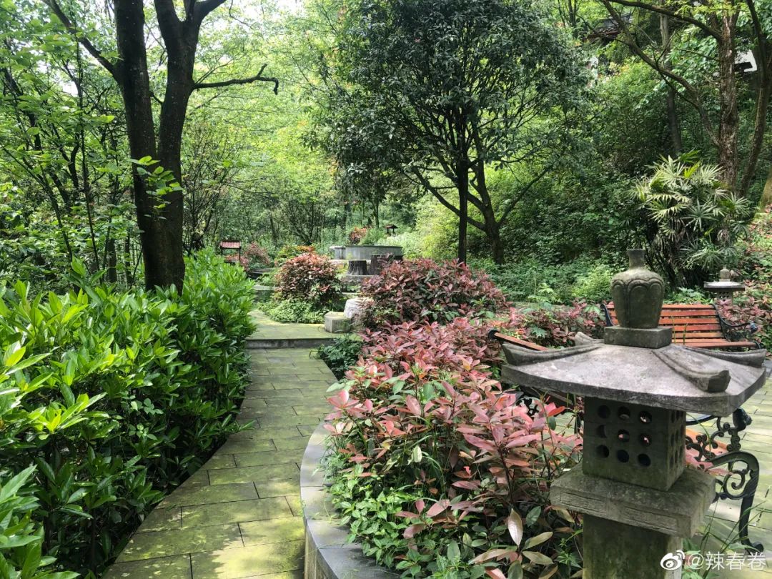 夏日避暑胜地高铁直达,坐动车可直达哪些地方避暑