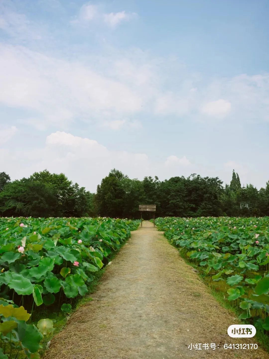 夏日避暑胜地高铁直达,坐动车可直达哪些地方避暑