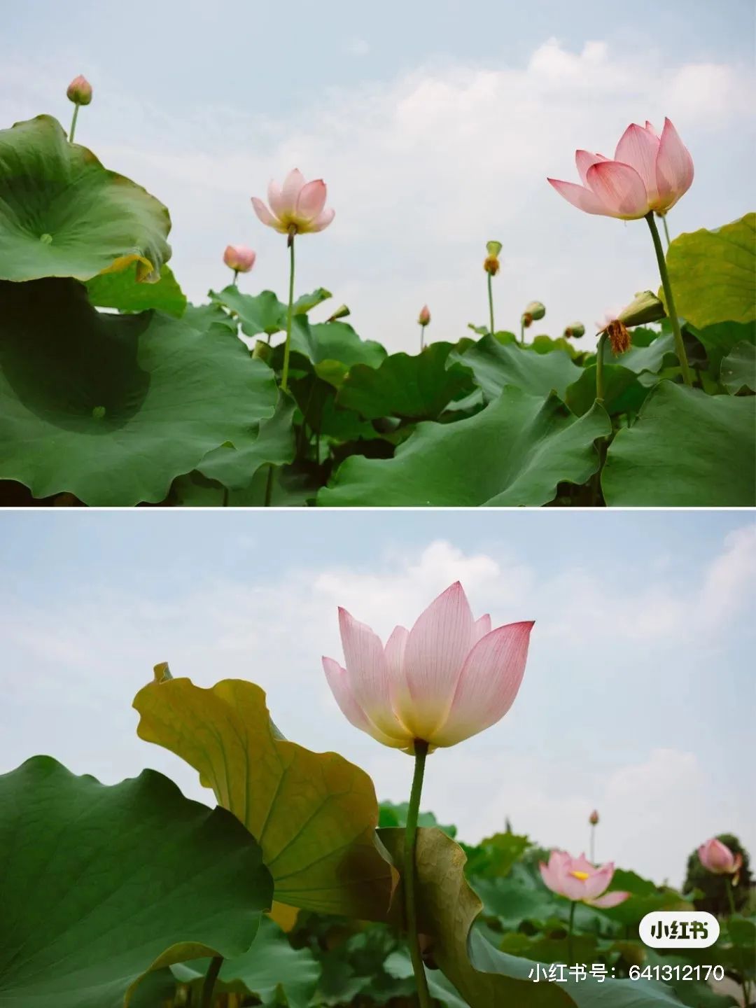 夏日避暑胜地高铁直达,坐动车可直达哪些地方避暑