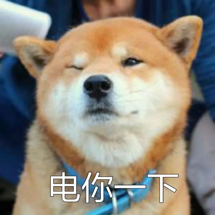 bm风穿搭短袖,bf风夏季短袖