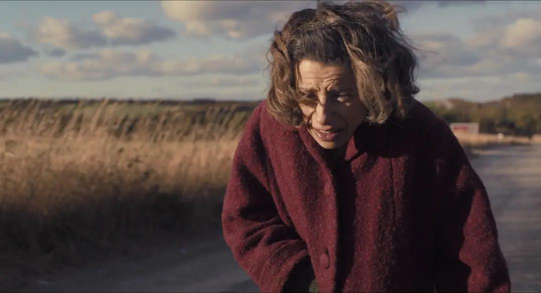 白宫为何求购加拿大农妇的画作?她一生凄凉,却用作品感动世界