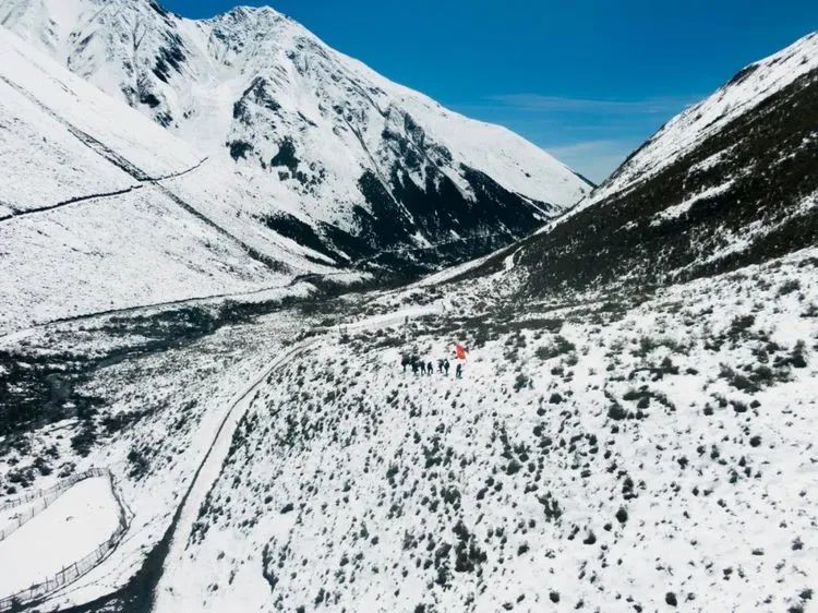 他们不是山神，却是虫草山上的守护神！