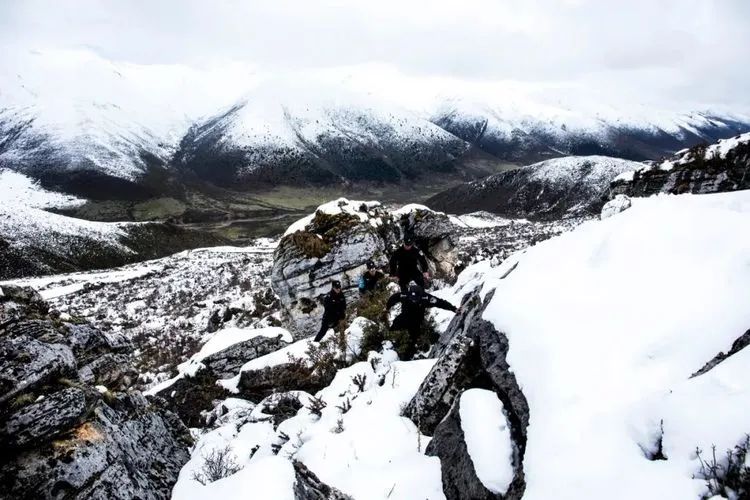 他们不是山神，却是虫草山上的守护神！