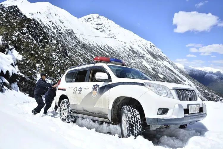 他们不是山神，却是虫草山上的守护神！