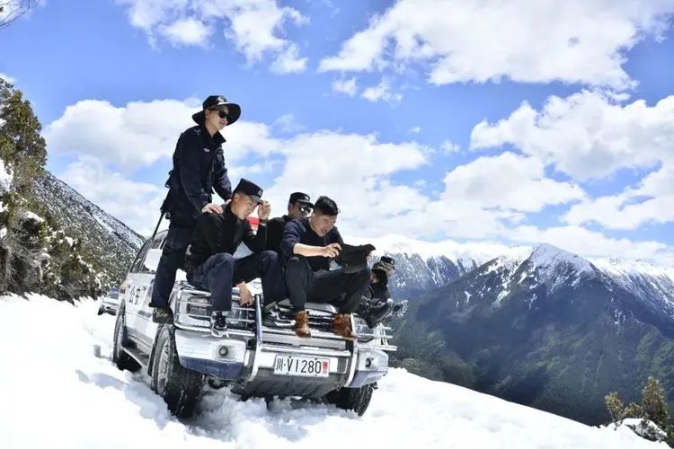 他们不是山神，却是虫草山上的守护神！