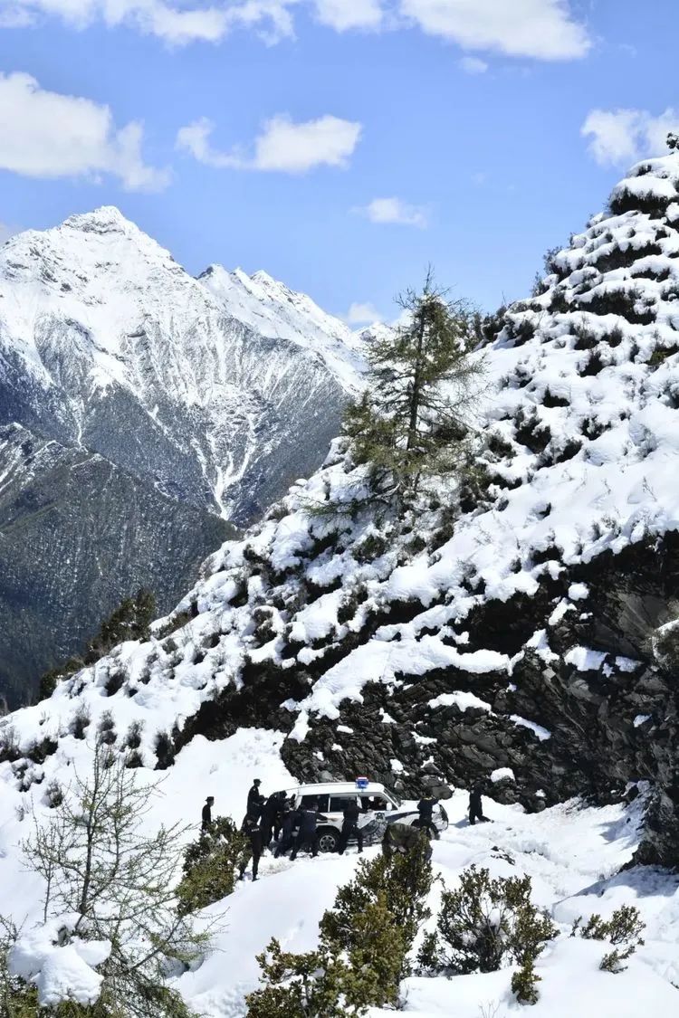 他们不是山神，却是虫草山上的守护神！
