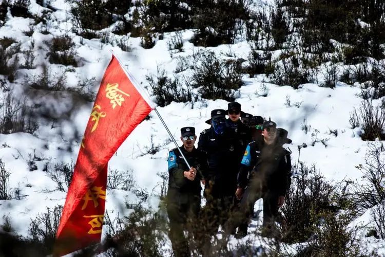 他们不是山神，却是虫草山上的守护神！