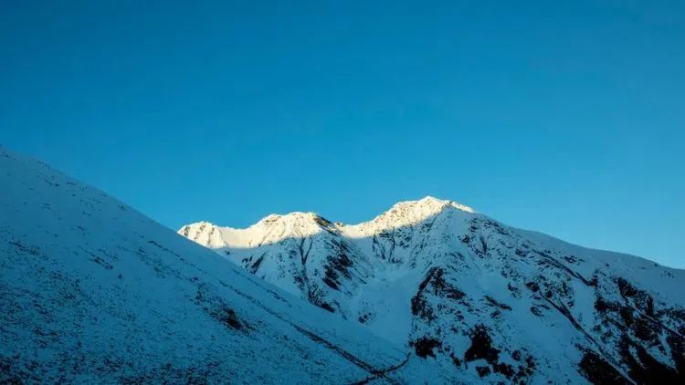 他们不是山神，却是虫草山上的守护神！