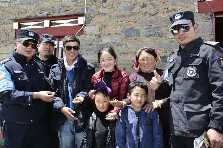 他们不是山神，却是虫草山上的守护神！