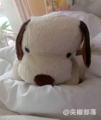 工厂流水线女工人的辛酸,工厂打工者心酸