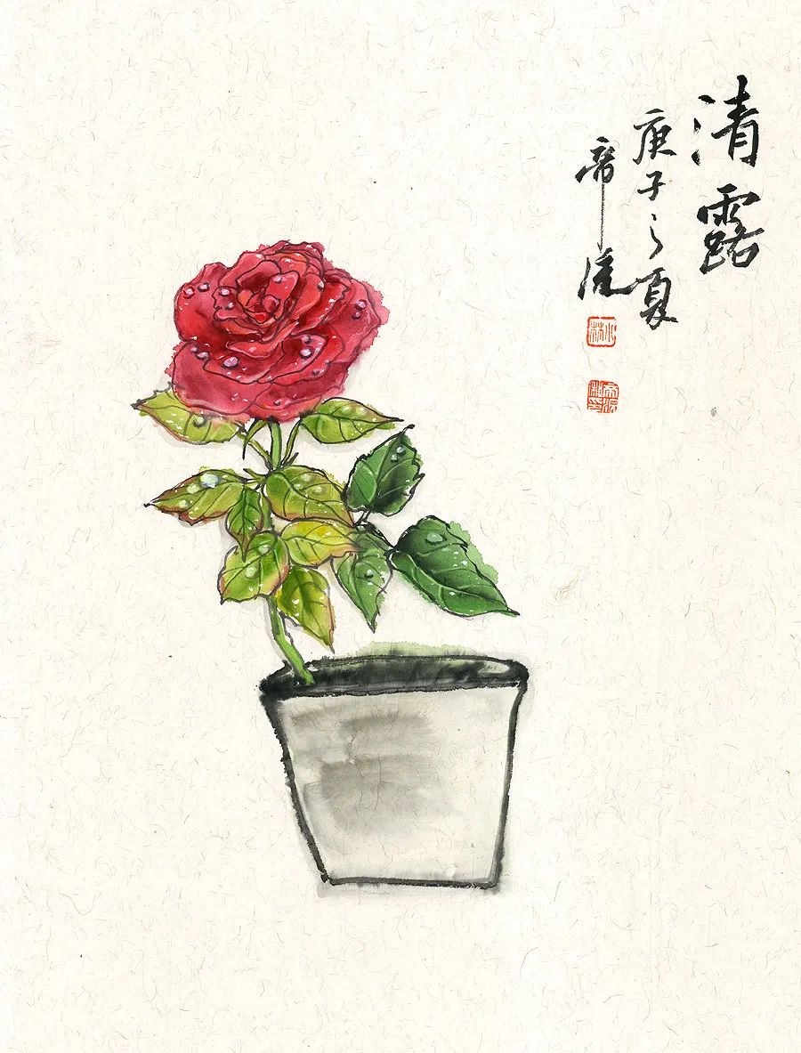 生如夏花之绚烂死如秋叶之静美,生如夏花原唱