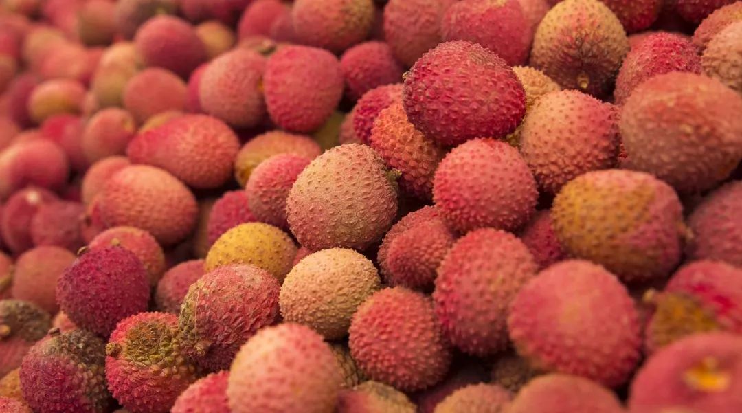 为什么南方的水果吃了容易上火,多吃水果不如吃对水果小常识