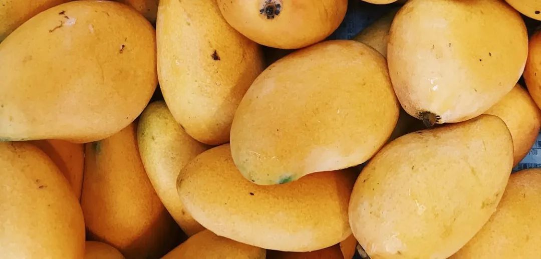 为什么南方的水果吃了容易上火,多吃水果不如吃对水果小常识