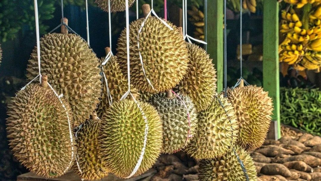 为什么南方的水果吃了容易上火,多吃水果不如吃对水果小常识