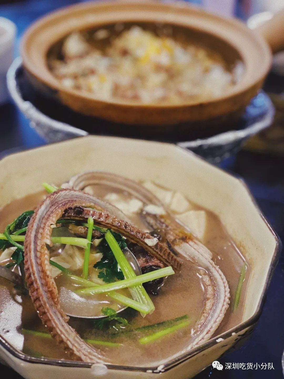 顺德是一个让你不会肚子饿的地方,顺德一个不起眼的地方