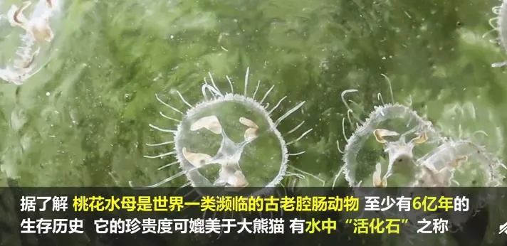 6月30日|新早读！注意啦！这个颜色的口罩易引发皮肤问题