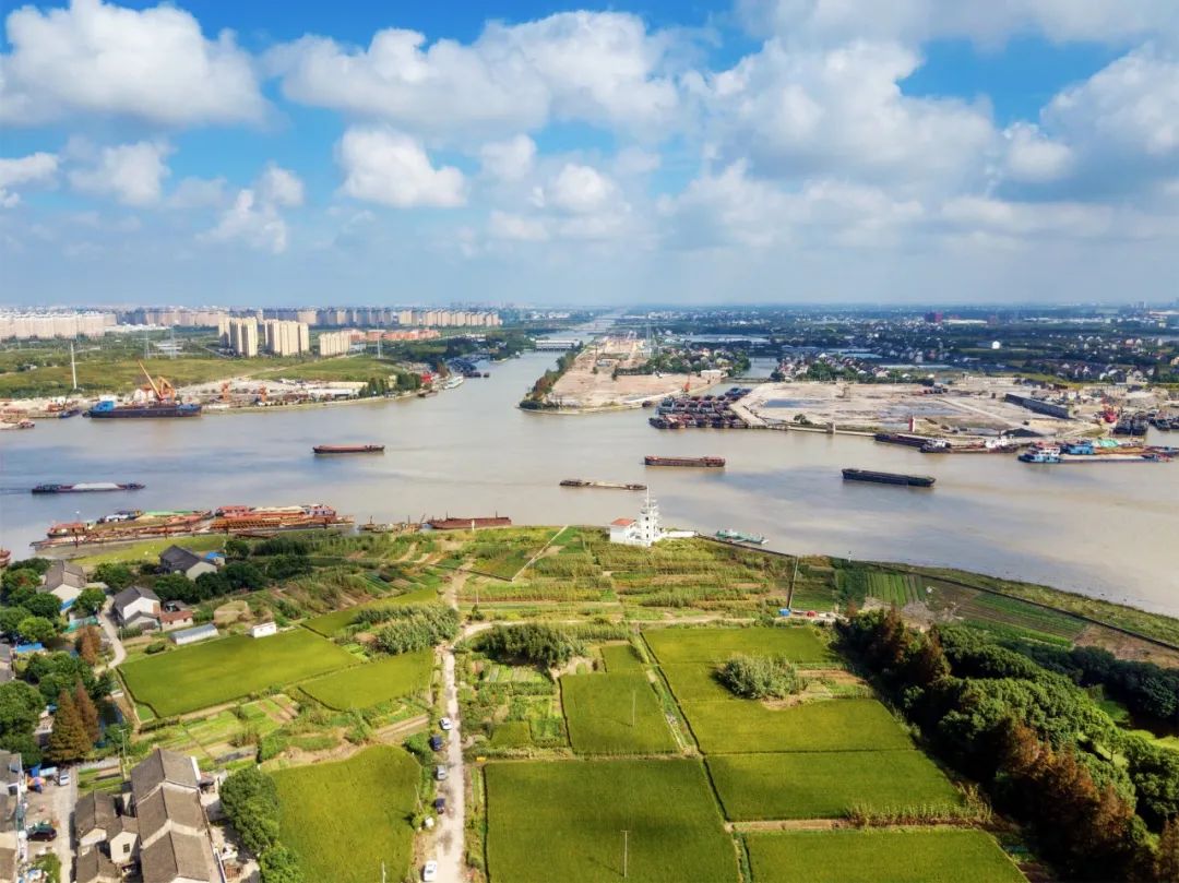 3300亩成熟地块、万套人才公寓,闵行这里邀您成为“第一湾合伙人”