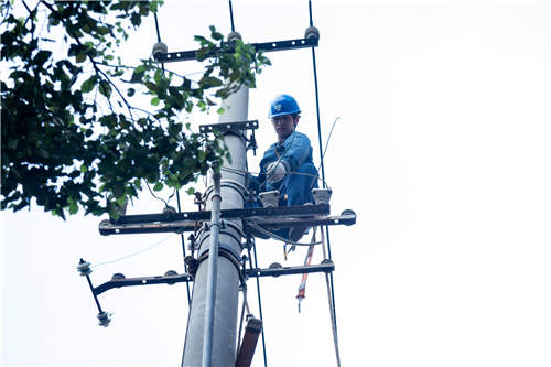 城市高效运转背后上海电力*党**员的24小时