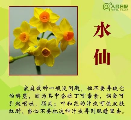 登山突遇大雨，深圳女子咬下这种叶子挡雨，结果中毒送医