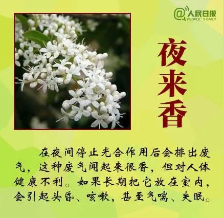 登山突遇大雨，深圳女子咬下这种叶子挡雨，结果中毒送医