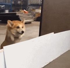 我敢说每个女生都遇到过这个尴尬,这篇帮你解决